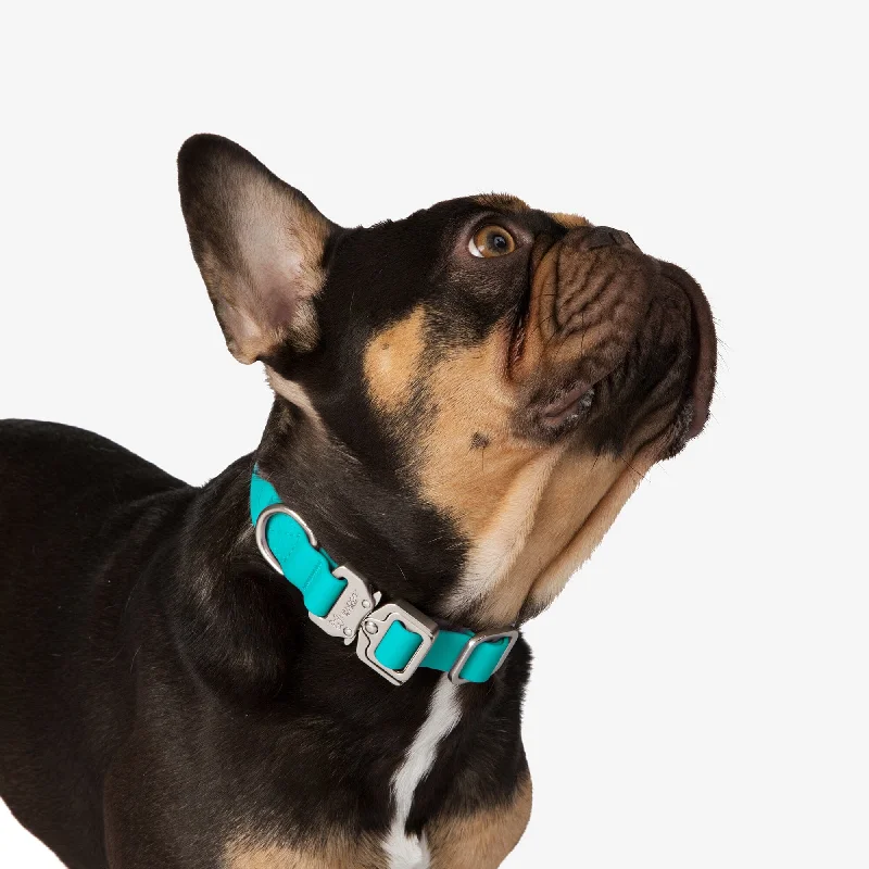 2. **Dog raincoat is waterproof and windproof**Waterproof Poly-Flex Sport Dog Collar - Aqua Blue