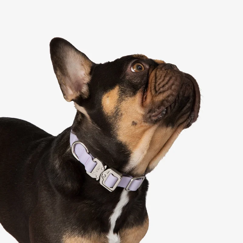 4. **Dog muzzle is breathable**Waterproof Poly-Flex Sport Dog Collar - Purple Lilac