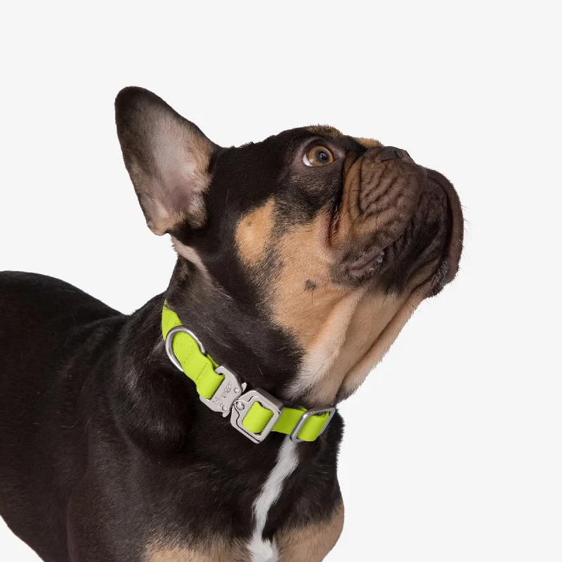 6. **Dog collar is luminous and reflective**Waterproof Poly-Flex Sport Dog Collar - Neon Green